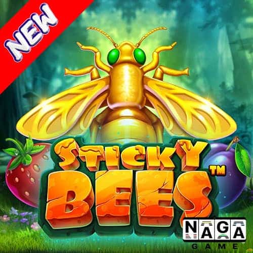 STICKY-BEES-ปกนอก-min