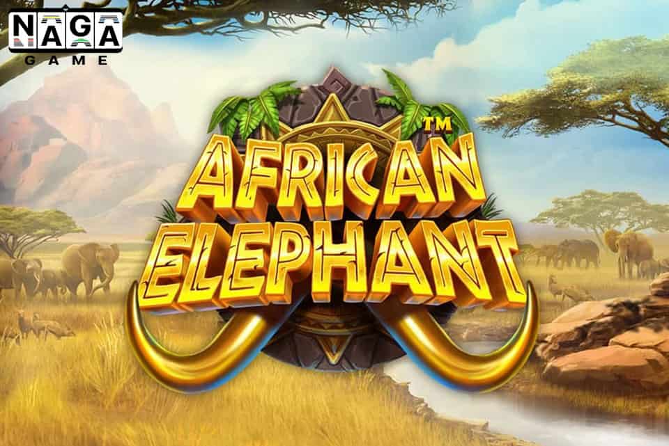 AFRICAN-ELEPHANT-BANNER-min