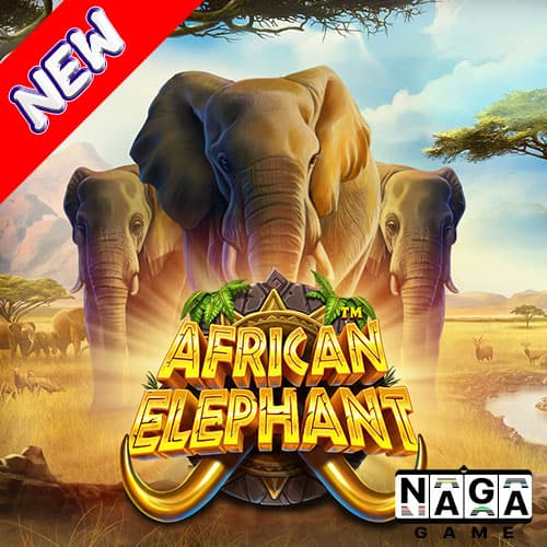AFRICAN-ELEPHANT-ปกนอก-min